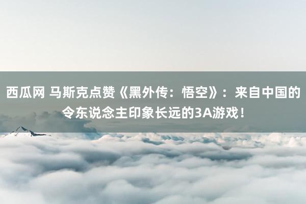 西瓜网 马斯克点赞《黑外传：悟空》：来自中国的令东说念主印象长远的3A游戏！