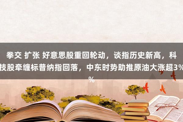 拳交 扩张 好意思股重回轮动，谈指历史新高，科技股牵缠标普纳指回落，中东时势助推原油大涨超3%