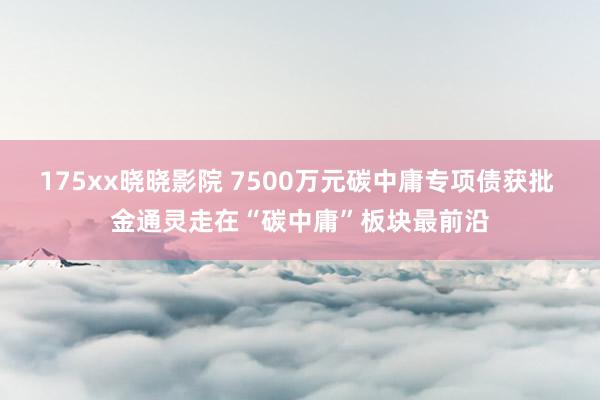 175xx晓晓影院 7500万元碳中庸专项债获批 金通灵走在“碳中庸”板块最前沿