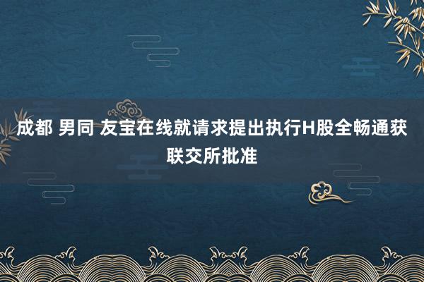 成都 男同 友宝在线就请求提出执行H股全畅通获联交所批准