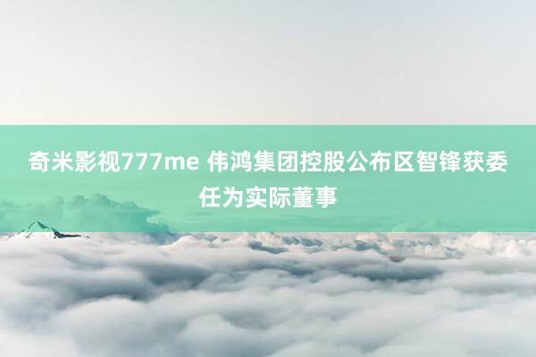 奇米影视777me 伟鸿集团控股公布区智锋获委任为实际董事