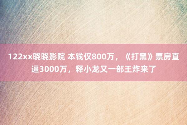 122xx晓晓影院 本钱仅800万，《打黑》票房直逼3000万，释小龙又一部王炸来了