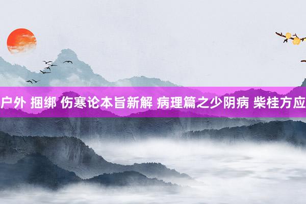 户外 捆绑 伤寒论本旨新解 病理篇之少阴病 柴桂方应