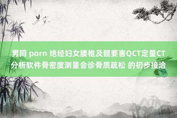 男同 porn 绝经妇女腰椎及髋要害QCT定量CT分析软件骨密度测量会诊骨质疏松 的初步接洽