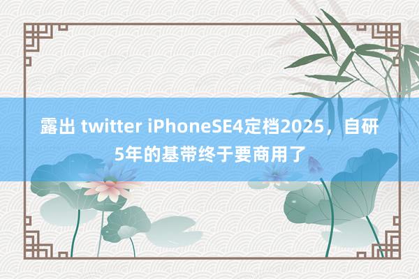 露出 twitter iPhoneSE4定档2025，自研5年的基带终于要商用了