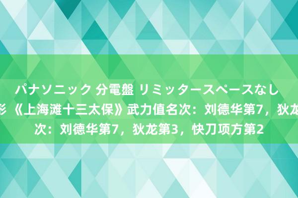 パナソニック 分電盤 リミッタースペースなし 露出・半埋込両用形 《上海滩十三太保》武力值名次：刘德华第7，狄龙第3，快刀项方第2