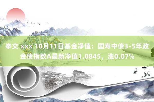 拳交 xxx 10月11日基金净值：国寿中债3-5年政金债指数A最新净值1.0845，涨0.07%