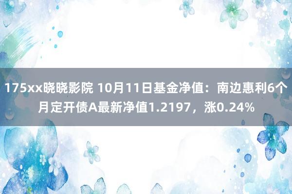 175xx晓晓影院 10月11日基金净值：南边惠利6个月定开债A最新净值1.2197，涨0.24%