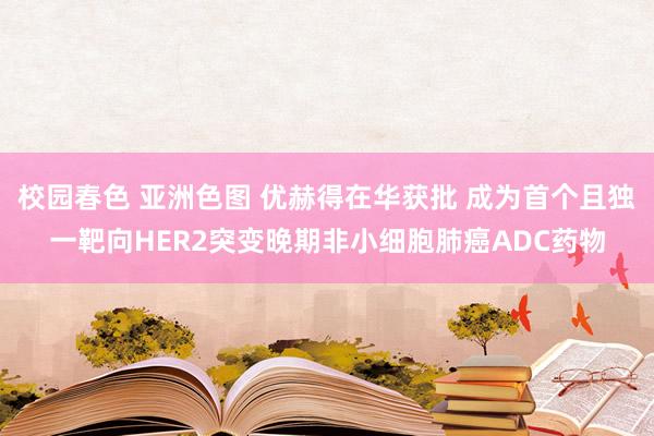 校园春色 亚洲色图 优赫得在华获批 成为首个且独一靶向HER2突变晚期非小细胞肺癌ADC药物