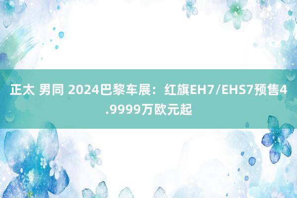 正太 男同 2024巴黎车展：红旗EH7/EHS7预售4.9999万欧元起