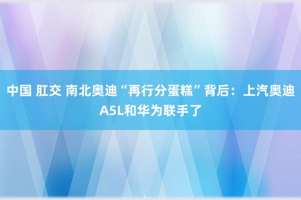 中国 肛交 南北奥迪“再行分蛋糕”背后：上汽奥迪A5L和华为联手了