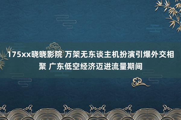 175xx晓晓影院 万架无东谈主机扮演引爆外交相聚 广东低空经济迈进流量期间