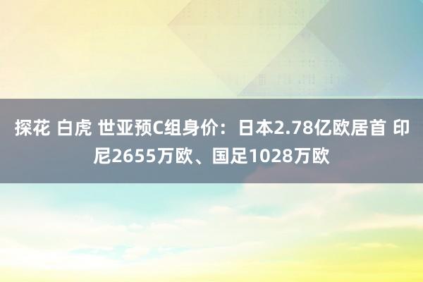 探花 白虎 世亚预C组身价：日本2.78亿欧居首 印尼2655万欧、国足1028万欧