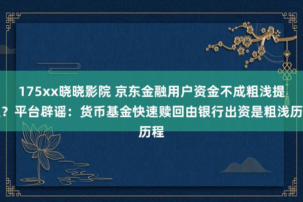 175xx晓晓影院 京东金融用户资金不成粗浅提议？平台辟谣：货币基金快速赎回由银行出资是粗浅历程