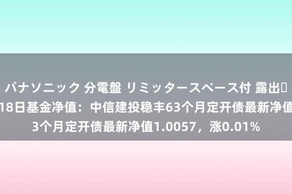 パナソニック 分電盤 リミッタースペース付 露出・半埋込両用形 10月18日基金净值：中信建投稳丰63个月定开债最新净值1.0057，涨0.01%