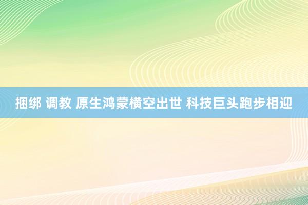 捆绑 调教 原生鸿蒙横空出世 科技巨头跑步相迎