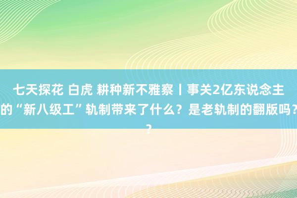 七天探花 白虎 耕种新不雅察丨事关2亿东说念主的“新八级工”轨制带来了什么？是老轨制的翻版吗？