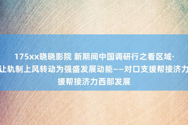 175xx晓晓影院 新期间中国调研行之看区域·西部篇｜让轨制上风转动为强盛发展动能——对口支援帮接济力西部发展