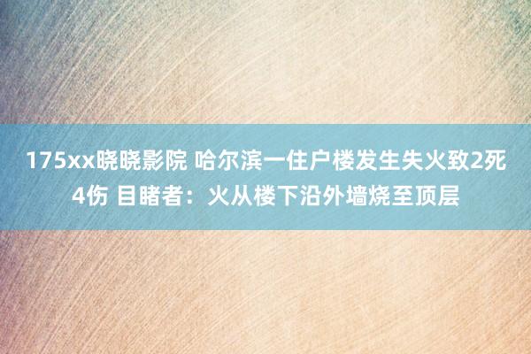 175xx晓晓影院 哈尔滨一住户楼发生失火致2死4伤 目睹者：火从楼下沿外墙烧至顶层