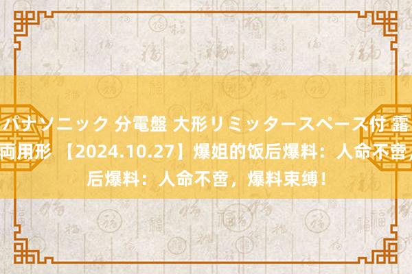 パナソニック 分電盤 大形リミッタースペース付 露出・半埋込両用形 【2024.10.27】爆姐的饭后爆料：人命不啻，爆料束缚！