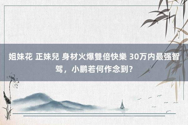 姐妹花 正妹兒 身材火爆雙倍快樂 30万内最强智驾，小鹏若何作念到？