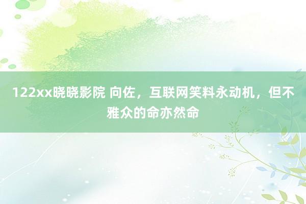 122xx晓晓影院 向佐，互联网笑料永动机，但不雅众的命亦然命