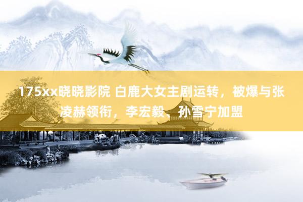 175xx晓晓影院 白鹿大女主剧运转，被爆与张凌赫领衔，李宏毅、孙雪宁加盟