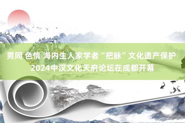 男同 色情 海内生人家学者“把脉”文化遗产保护 2024中汉文化天府论坛在成都开幕