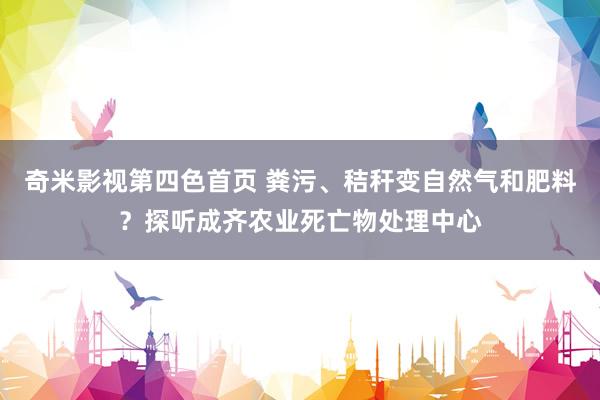 奇米影视第四色首页 粪污、秸秆变自然气和肥料？探听成齐农业死亡物处理中心