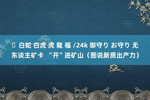 ✨白蛇 白虎 虎 龍 福 /24k 御守り お守り 无东谈主矿卡  “开”进矿山（图说新质出产力）