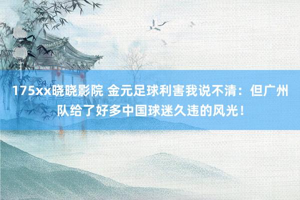 175xx晓晓影院 金元足球利害我说不清：但广州队给了好多中国球迷久违的风光！