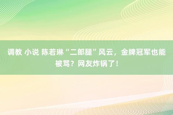 调教 小说 陈若琳“二郎腿”风云，金牌冠军也能被骂？网友炸锅了！