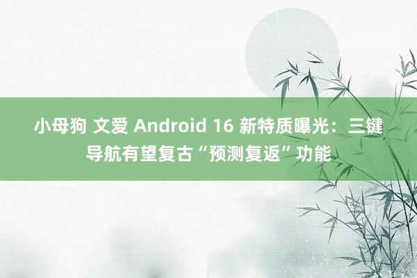 小母狗 文爱 Android 16 新特质曝光：三键导航有望复古“预测复返”功能